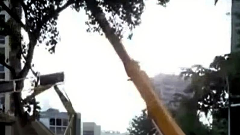 Reprodução canal do Youtube Jornal da Record