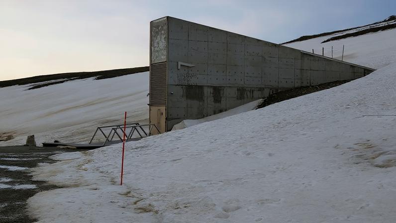 Banco Mundial de Sementes de Svalbard, localizado na montanha Platåbergeti