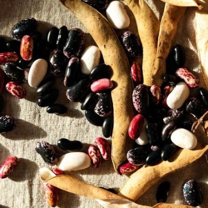 As 8 melhores leguminosas para a saúde, segundo nutricionistas