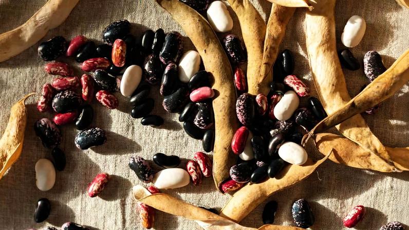 As 8 melhores leguminosas para a saúde, segundo nutricionistas