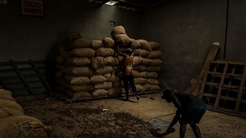 Loading in sacks of cocoa beans at a warehouse in southern Ivory Coast. “This year has been a catastrophe,” one cocoa farmer said. “I have nothing in my pocket.”