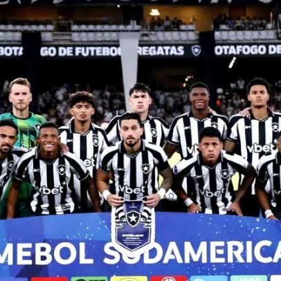 Botafogo: quem brilhou e quem falhou no primeiro semestre