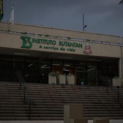 O que se sabe sobre os casos adversos das vacinas do Butantan