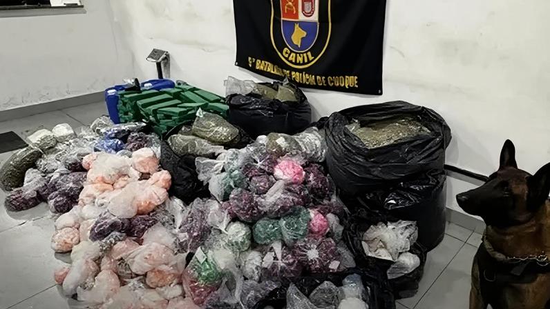 Cão farejador da Polícia Militar localiza quase 300 Kg de drogas em comunidade da Zona Sul de SP