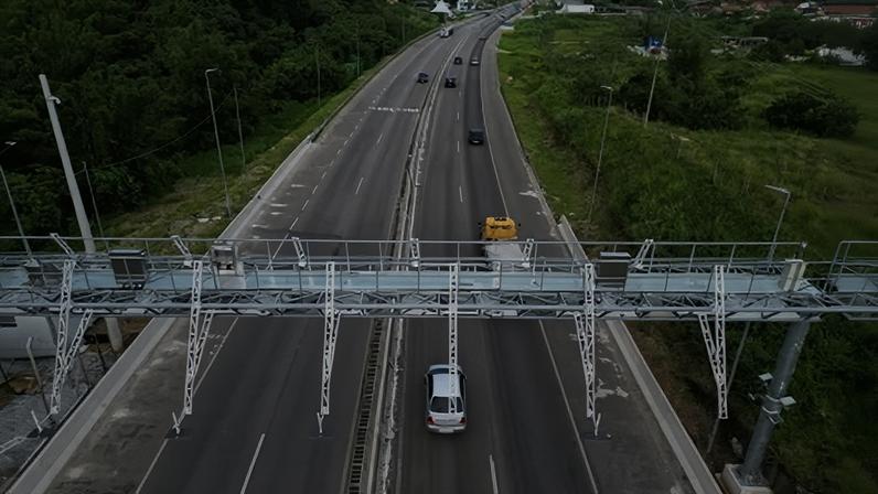 Projeto prevê multa para quem atropelar animal em rodovia