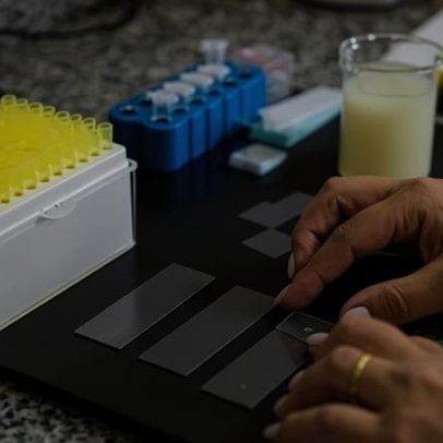 Seleon amplia atuação na equinocultura com novo centro de genética no Brasil