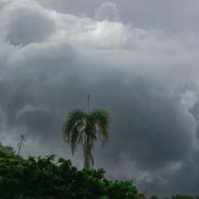Rio registra menor temperatura do ano, 11,3°C, em Alto da Boa Vista