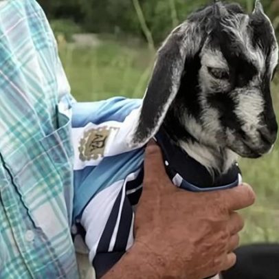 Cabra recebe nome de Messi em homenagem ao maior artilheiro da Copa