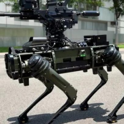 Taiwan mostra cães-robô armados para defesa marítima