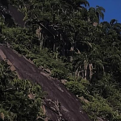 Montanhista é resgatado de helicóptero após ferir-se durante escalada no RJ