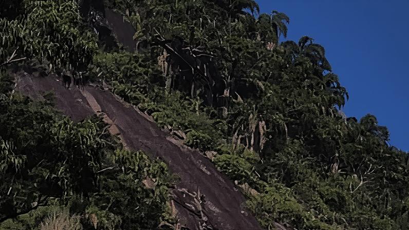 Corpo de Bombeiros Militar do Estado do Rio de Janeiro realizou, na manhã deste domingo (7), uma operação de resgate em área de montanha na região do Cosme Velho, na Zona Sul do Rio
