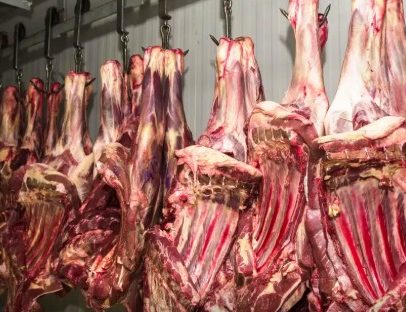 Carne brasileira expõe gargalos do Brasil no comércio e nas contas públicas