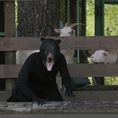 Japão simula invasão de urso em escola com funcionário fantasiado