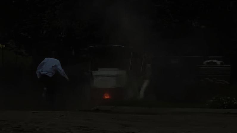 Imagens divulgadas nas redes sociais mostram o cocheiro correndo atrás da carruagem desgovernada pelas vias do Central Park