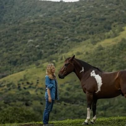 Cavalos podem contribuir para o equilíbrio emocional, com início de pesquisas