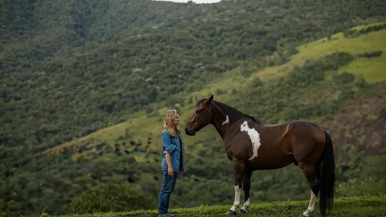 Caroline K. Szajman conduz vivências imersivas com cavalos: espelhos do estado emocional das pessoas