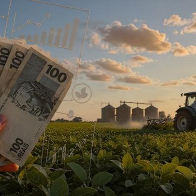 Plano Safra 2026/27: crédito rural pode chegar ao limite