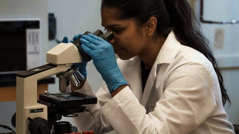 Cientistas brasileiros alertam para a expansão da resistência antifúngica e cobram ações globais imediatas para conter o avanço de supercomputadores biológicos, os fungos multirresistentes; na imagem, pesquisadora analisa amostras em laboratório