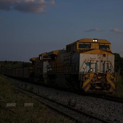 Transporte aprimorado expõe florestas de Moçambique a novas pressões