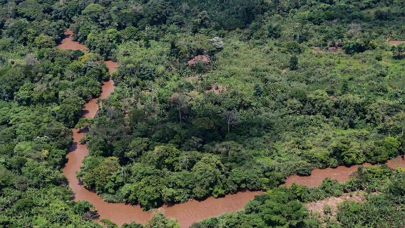 Esforços de conservação de famílias deslocadas para parque nacional na RDC
