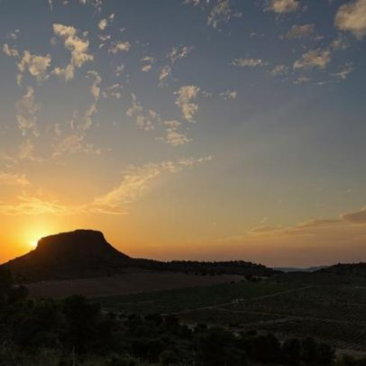 Uva espanhola "sabor do sol" comprova seu valor