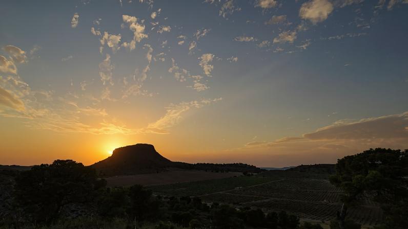 The Monastrell Association’s regions, including Jumilla (pictured), have breathtaking landscapes.