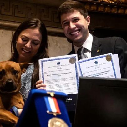 Cachorro resgatado entra para mesa de honra da Câmara do Rio