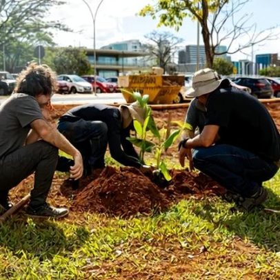 SESI Lab inaugura projeto de agroecologia urbana com apoio de Bayer e TikTok