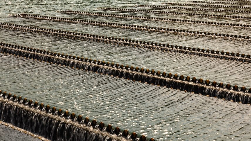 Companhia de energia havia manifestado interesse em comprar ações adicionais, mas a forte demanda pela oferta pública restringiu sua participação à fatia de referência.