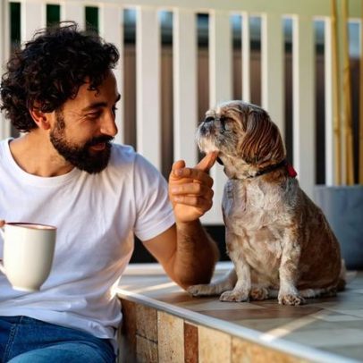 Especialistas indicam 7 dicas para conquistar a confiança do cachorro