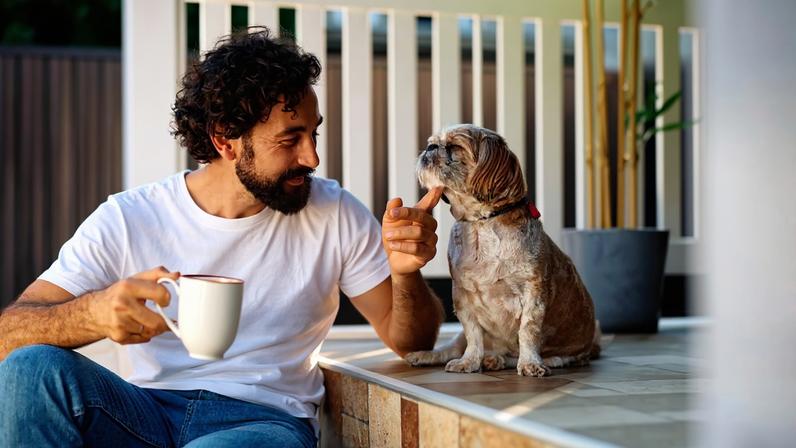 7 dicas para conquistar a confiança do seu cachorro