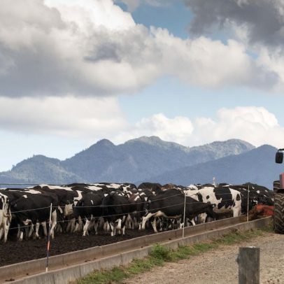 Fonterra vê pressão de custos com combustível; efeito ainda indefinido, diz CEO