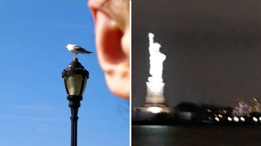 Blanche Mortemard tem a incrível habilidade de tirar fotos com pedaços de pessoas ou borradas