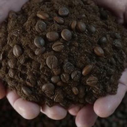 Debate sobre tributos: você paga café ou imposto?