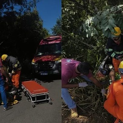 Motorista sobrevive 3 dias bebendo água após queda de carro em ribanceira