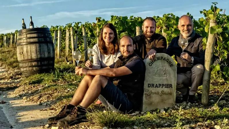 Uvas esquecidas viram ativo estratégico da indústria do vinho