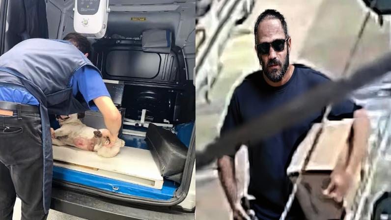 Bruce foi atingido por dois tiros no abdômen e precisou ser atendido às pressas