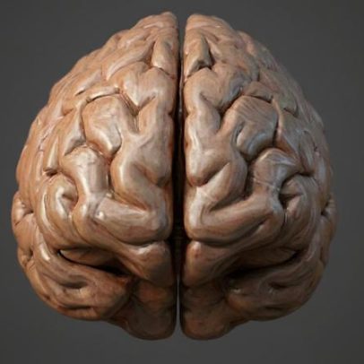 Conheça 5 neurodivergências: da imaginação à incompreensão dos números