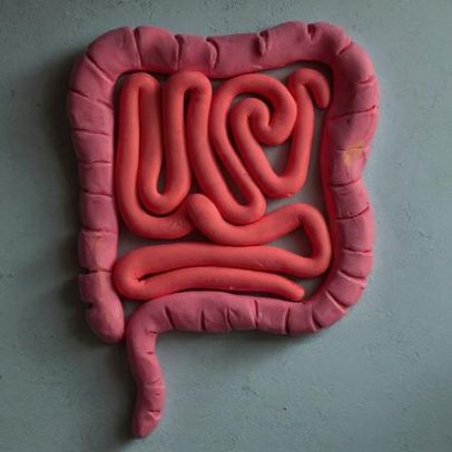 Vírus em bactérias intestinais podem estar ligados ao câncer colorretal
