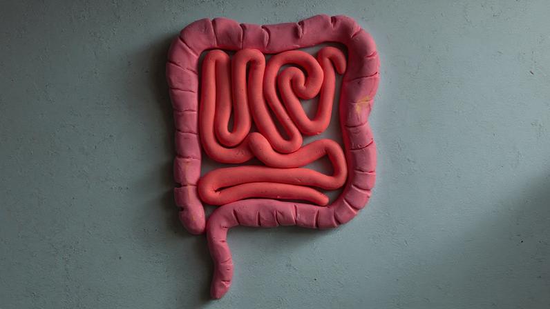 Estudo liga vírus intestinais ao câncer colorretal. (Foto: Getty Images via Canva)