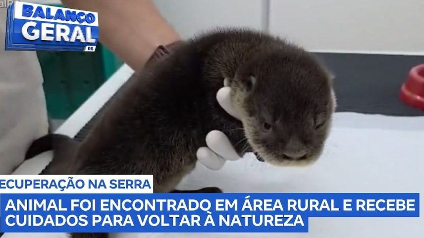 Reprodução canal do Youtube Record Guaiba