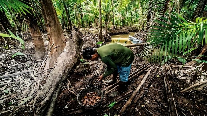 Expectativa é ampliar o alcance desses negócios e conectar consumidores a produtos de origem mais sustentável (Leandro Fonseca /Exame)