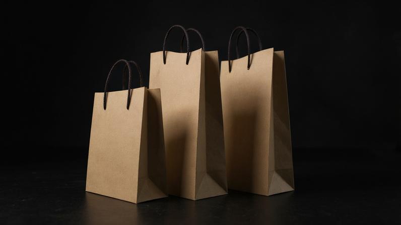 sacolas | compras | shopping (Montagem feita com elementos do Canva)