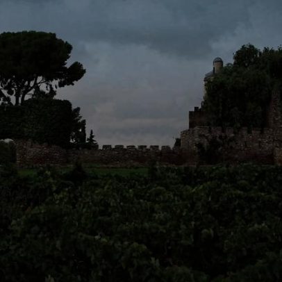 Jaume Serra revela identidade mediterrânea de Cava