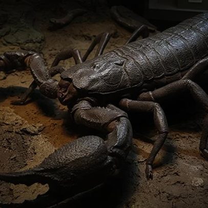 Descoberta milenar revela escorpião do tamanho de um cachorro