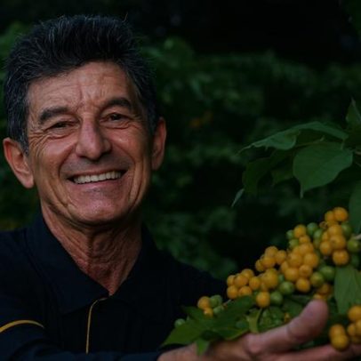 JDE Peet’s investe em agricultura regenerativa no cultivo de café