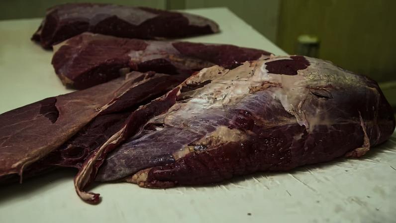 Segundo decisão da UE, carnes e produtos derivados não seram mais exportados para países membros do bloco
