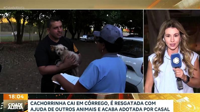 Reprodução canal do Youtube Record Interior SP