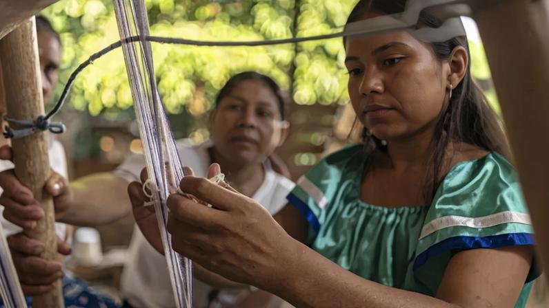 Grupo indígena na Amazônia boliviana usa plantas no desenvolvimento de fibras têxteis (Andrés Roberto Unterladstaetter/Divulgação)