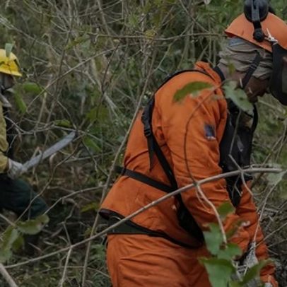 Governo aponta risco de seca extrema e queimadas no segundo semestre